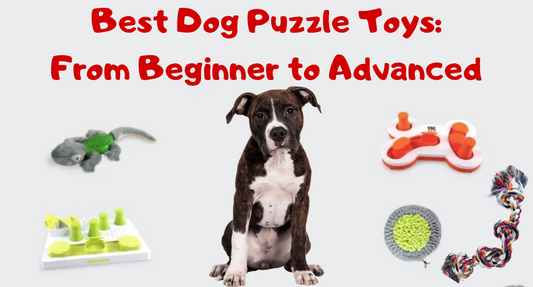 The Playful Pup: Best Puzzle Toys to Enrich Your Puppy's Playtime
