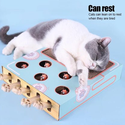 3-in-1 Interactive Cat Toy with Scratcher Maze - MR. GIFT