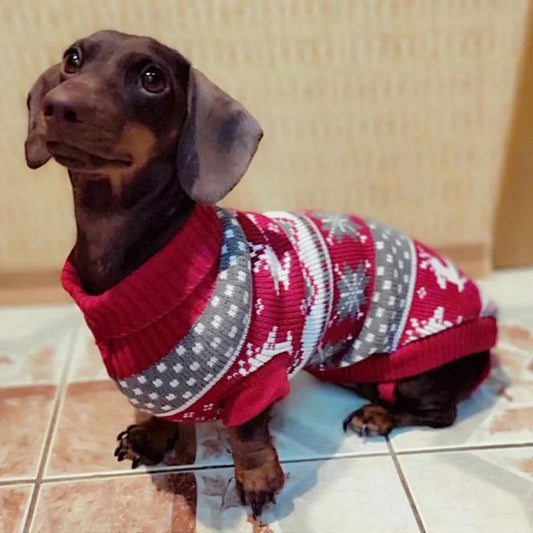 Warm Winter Sweater for Small Dogs and Puppies - MR. GIFT