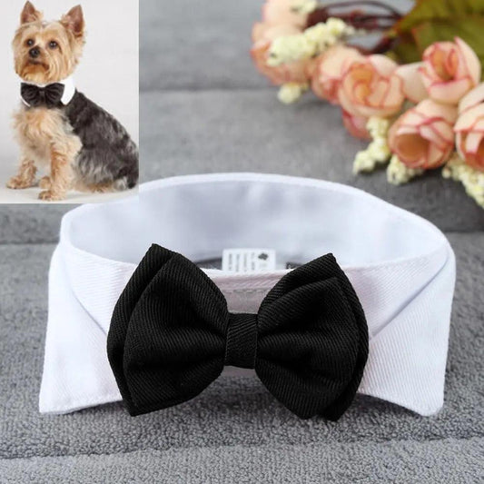 Dress Your Dog to Impress: the Puppy Dogs Adjustable Collar Necktie - MR. GIFT