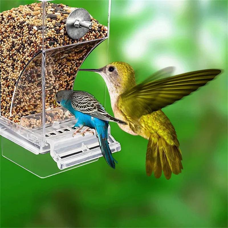 Automatic Parrot Feeder | No Mess Acrylic Seed Container - MR. GIFT
