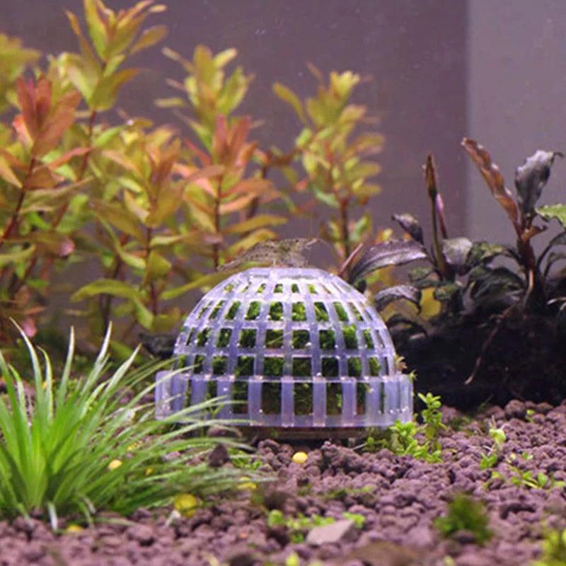 Aquarium Moss Ball Live Plant Fish Tank Decor - MR. GIFT