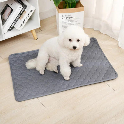 Reusable Washable Dog Pee Pad & Bed Urine Mat - MR. GIFT