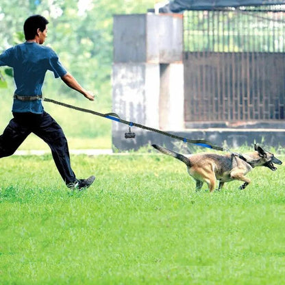 Reflective Hands-Free Dog Running Leash - MR. GIFT