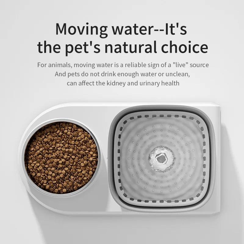 Purrfectly Hydrated: The 2in1 Cat Water Fountain and Feeding Bowl - MR. GIFT