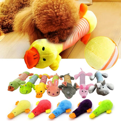Squeak Plush Dog Toy for Chew and Molar Health - MR. GIFT