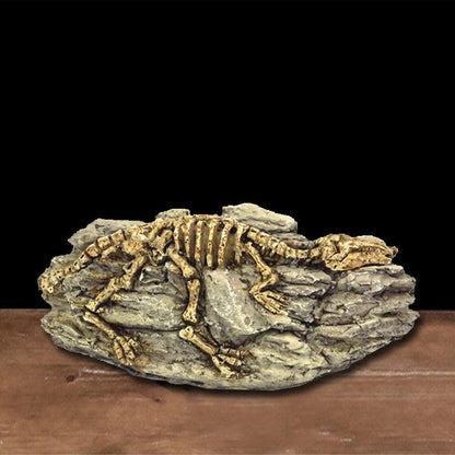 Animal Skull Aquarium Fossil Ornaments Dinosaur Decor - MR. GIFT