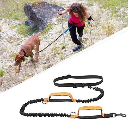 Retractable Hands-Free Dog Leash for Running - MR. GIFT