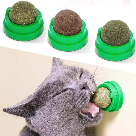 Catnip Wall Ball Toy | Healthy Digestive Cat Treat - MR. GIFT