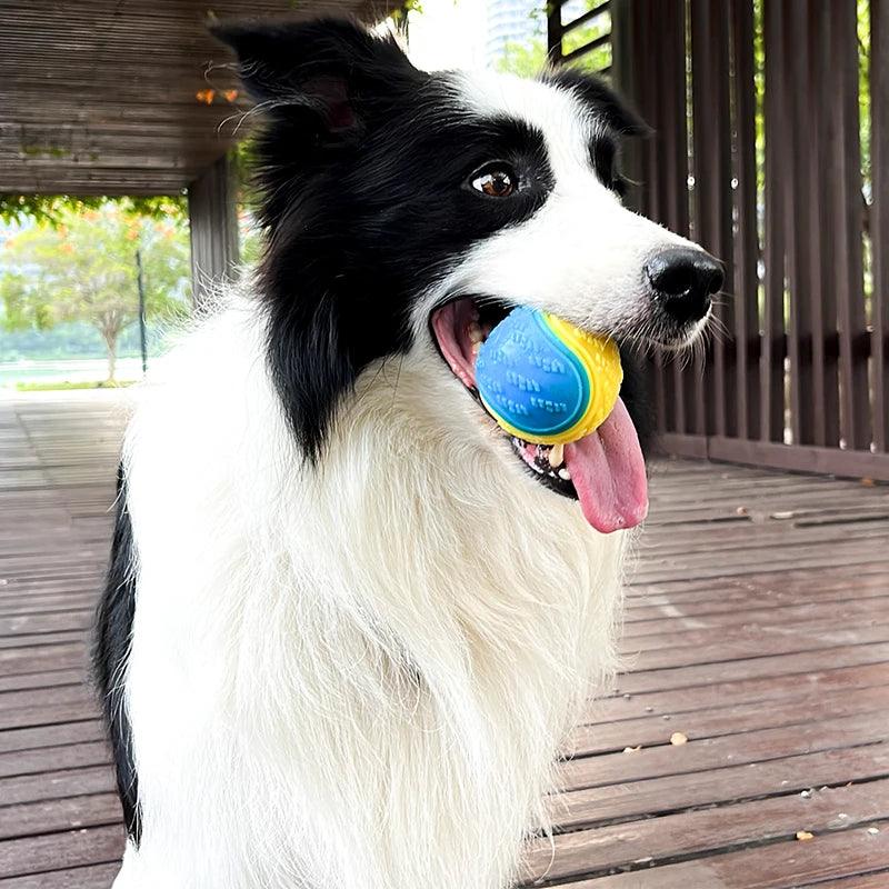Soft TPR Squeaky Dog Ball for Teeth Cleaning - MR. GIFT