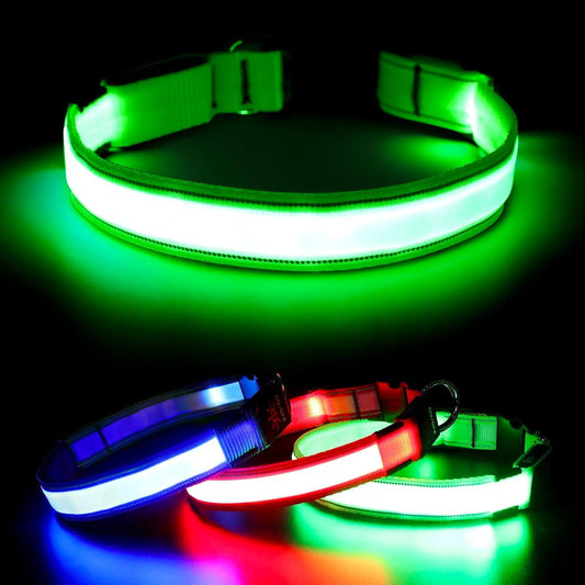 USB Rechargeable LED Dog Collar with 3 Modes - MR. GIFT