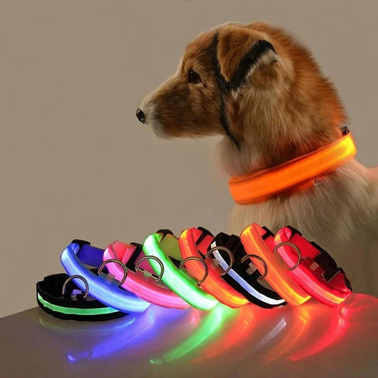 LED Night Safety Dog Leash Luminous Pet Collar - MR. GIFT