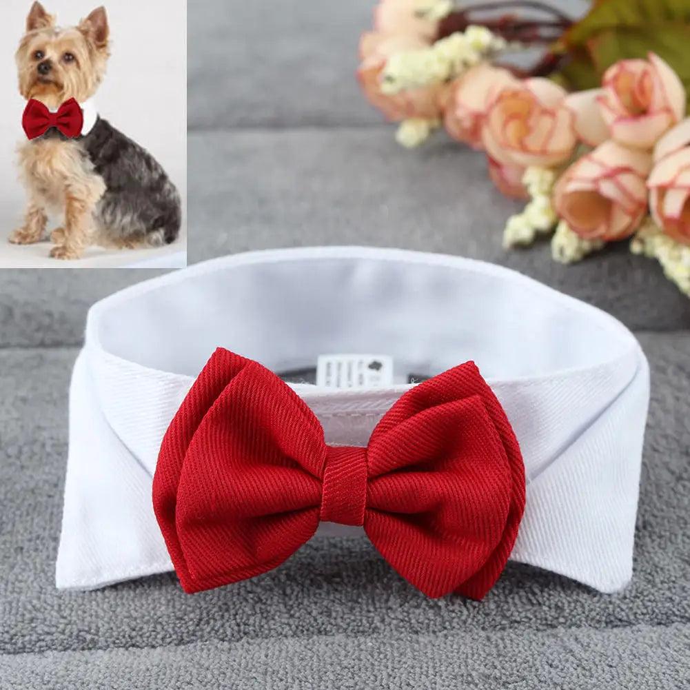 Dress Your Dog to Impress: the Puppy Dogs Adjustable Collar Necktie - MR. GIFT