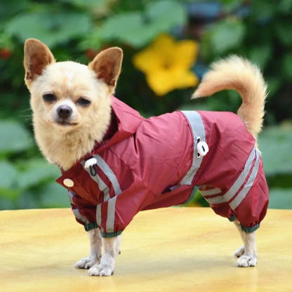 Waterproof Raincoat for Small Dogs - MR. GIFT