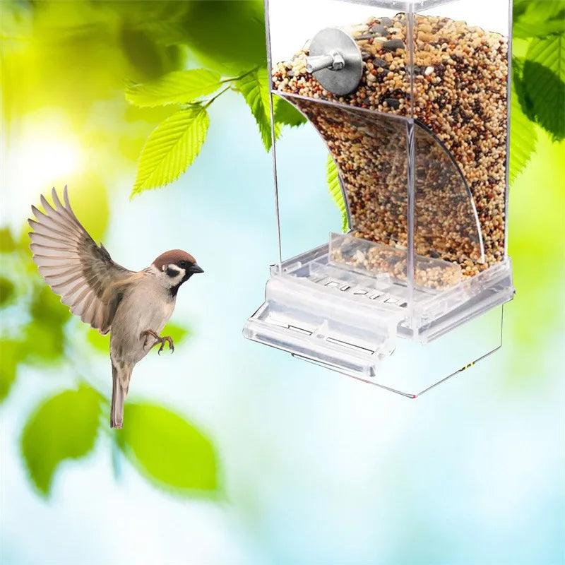 Automatic Parrot Feeder | No Mess Acrylic Seed Container - MR. GIFT