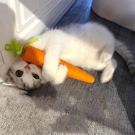 Sound Carrot Cat Teething and Play Stick - MR. GIFT