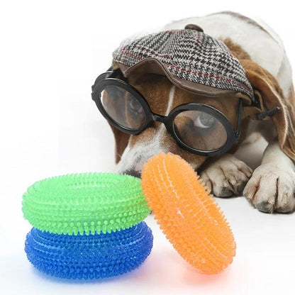 Squeaky Interactive Chew Toy for Dogs - MR. GIFT