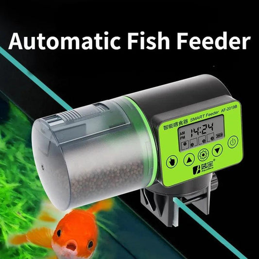 Feed Your Fish with Ease: The Intelligent Automatic Feeder - MR. GIFT