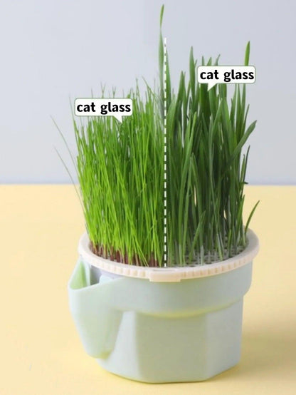 Cat Grass Cultivation Cup with Soilless Germination Tray - MR. GIFT