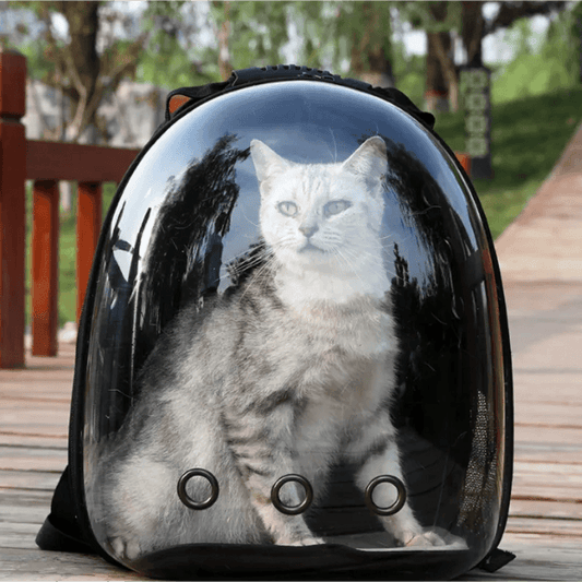 Transparent Space Capsule Cat Backpack - MR. GIFT