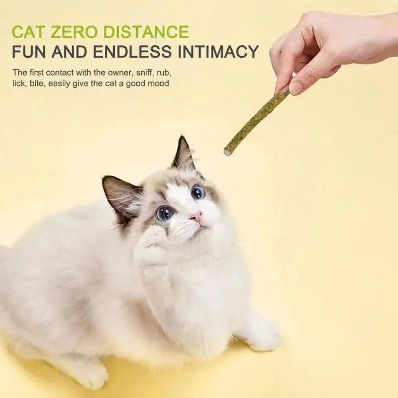 Unleash the Flavor: Matatabi Cat Stick in Refreshing Mint - MR. GIFT