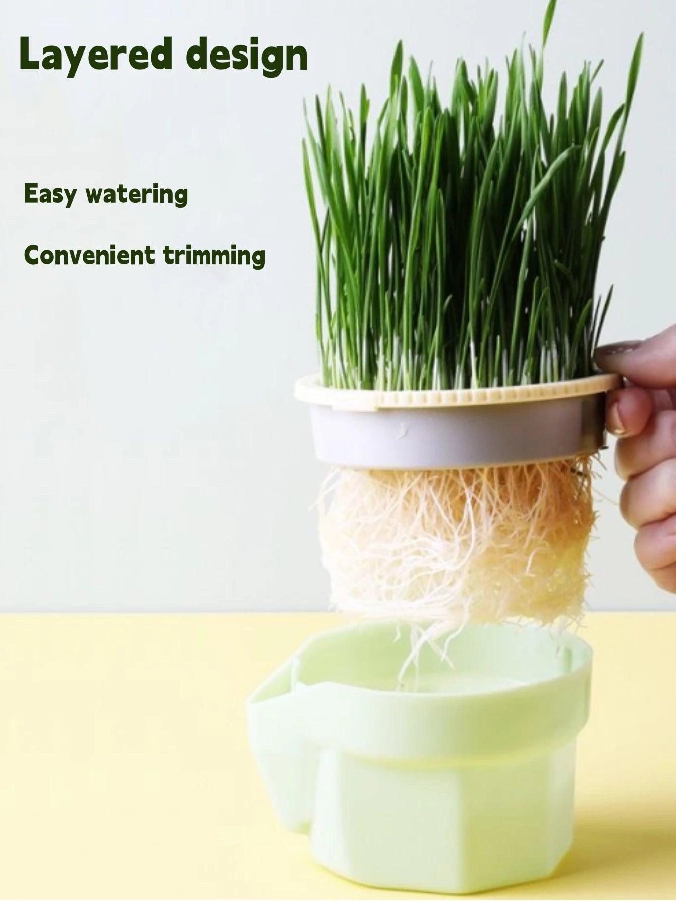Cat Grass Cultivation Cup with Soilless Germination Tray - MR. GIFT