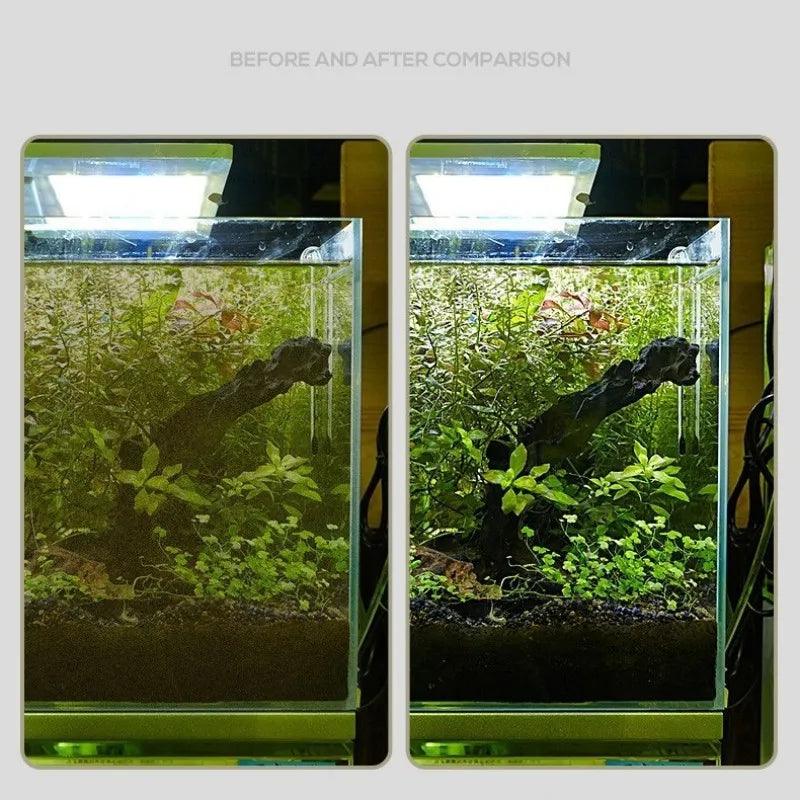 Dual-Use Aquarium Algae Removal Scraper - MR. GIFT
