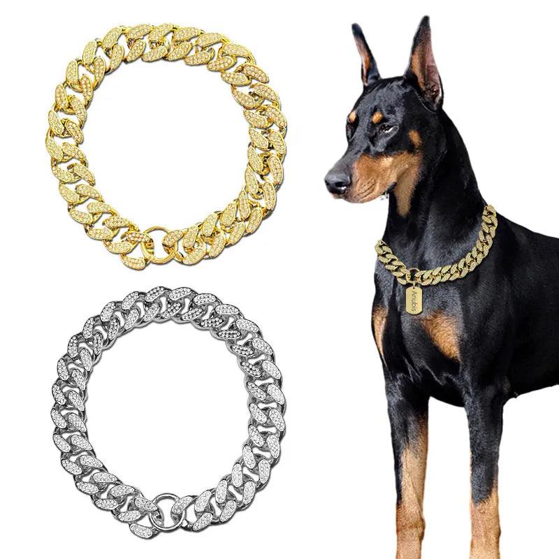 Sparkle and Shine: ABS Plastic Collar for Posh Pups - MR. GIFT