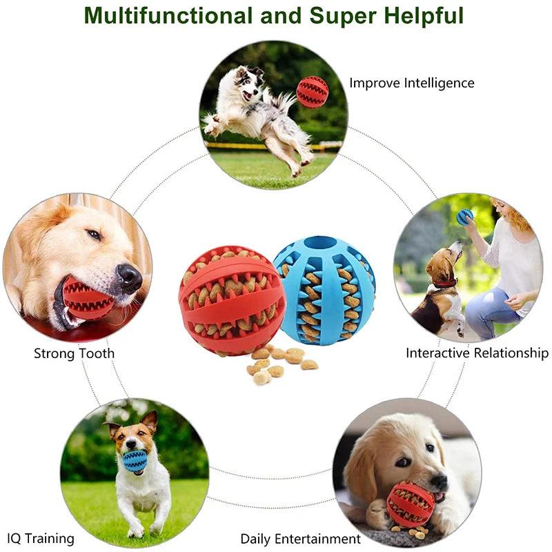 Interactive Rubber Chew Ball Toy for Dogs - MR. GIFT