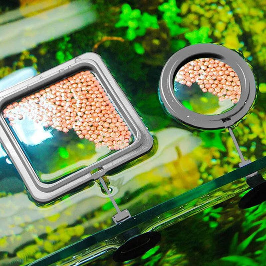 Float Your Fish's Feast with the Aquarium Feeding Ring - MR. GIFT