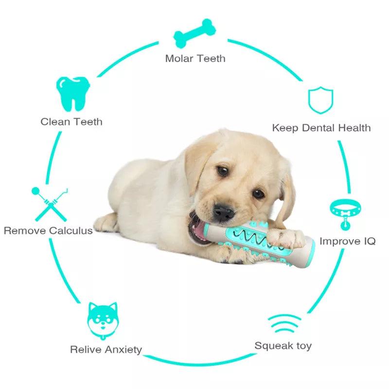 Dog Molar Toothbrush Chew Toy for Dental Care - MR. GIFT