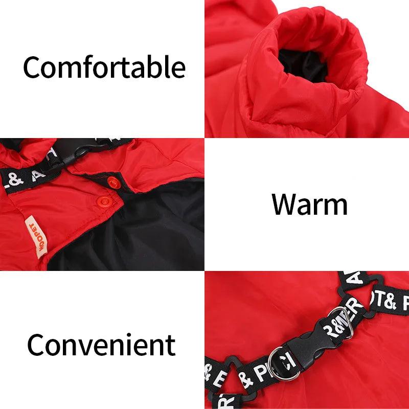 Warm Winter Dog Jacket with Hoodie for Small Medium Dogs - MR. GIFT