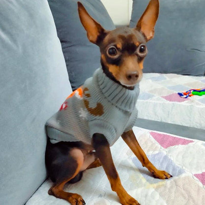 Warm Winter Sweater for Small Dogs and Puppies - MR. GIFT