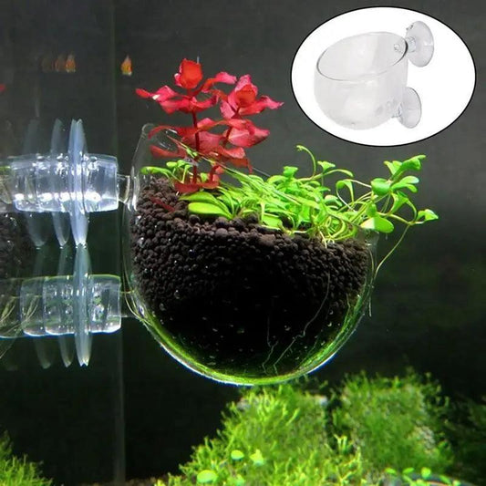 Glass Aquarium Waterweed Planting Pot Aquatic Decor - MR. GIFT