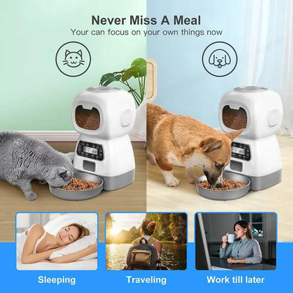 The Ultimate Solution for Busy Pet Owners: USB Remote Contr Pet Feeder - MR. GIFT
