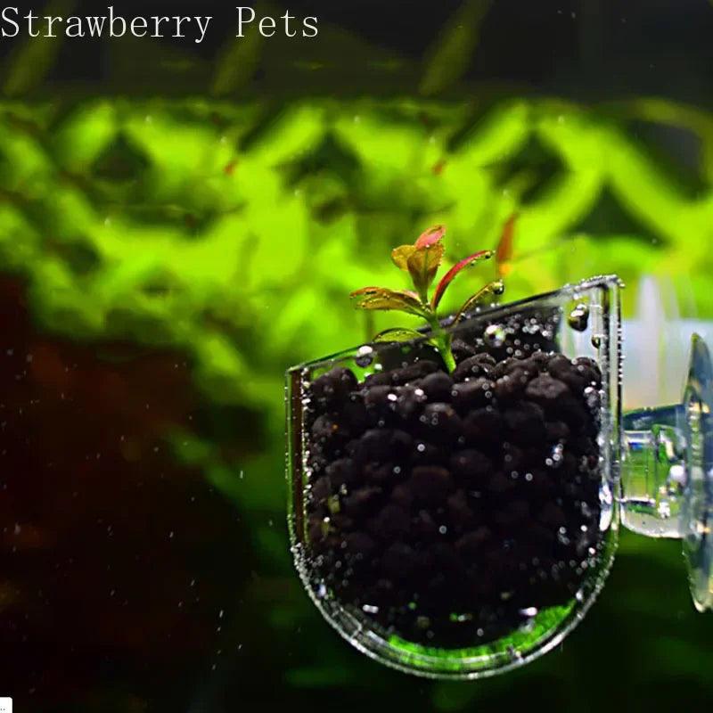 Mini Crystal Acrylic Aquarium Planting Hanging Cup - MR. GIFT
