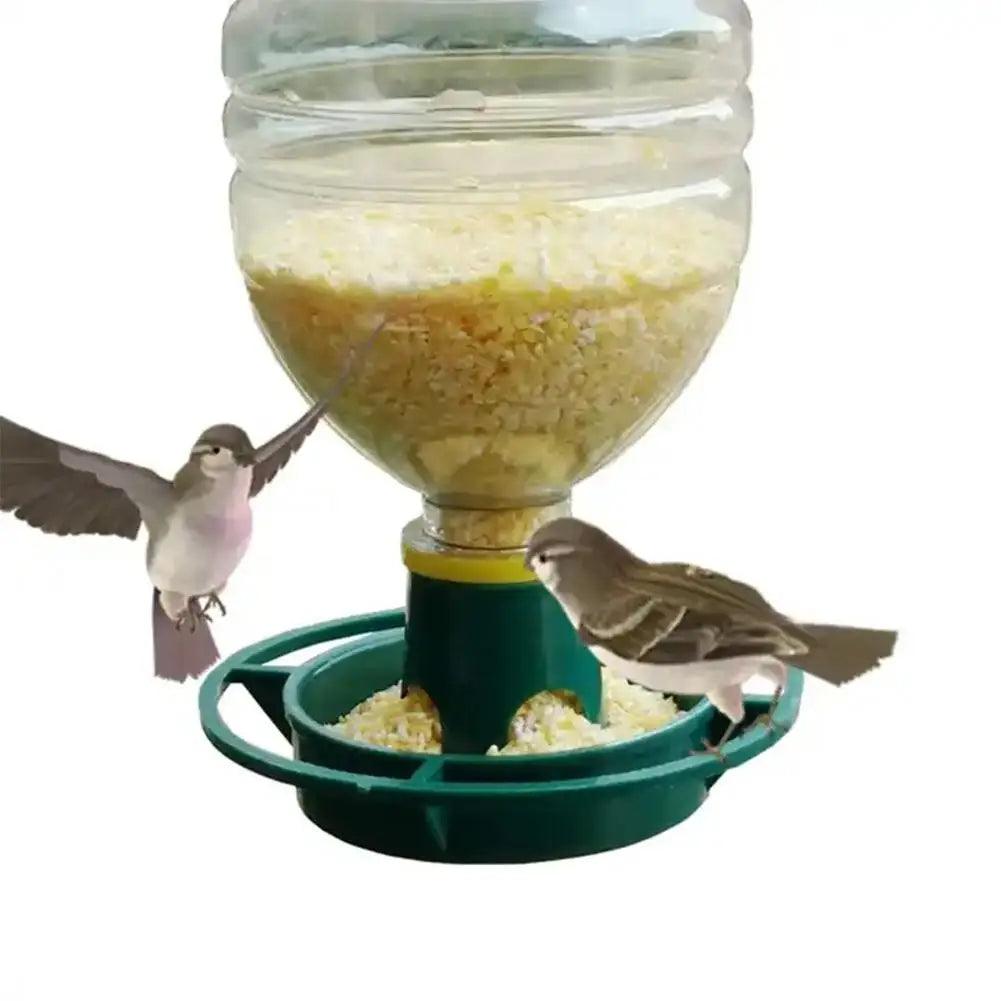 Eco-Friendly Feeding: The Recycled Soda Bottle Bird Feeder - MR. GIFT