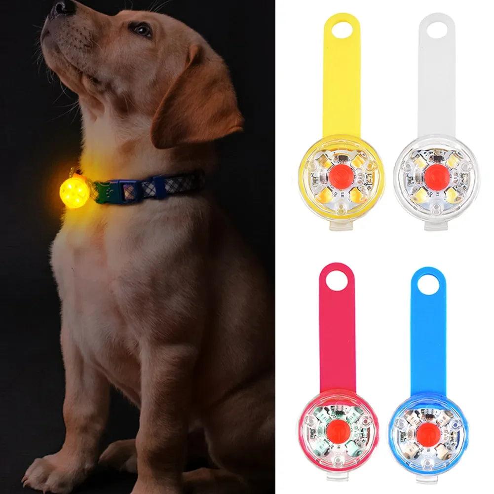 USB Rechargeable LED Safety Pendant for Pets - MR. GIFT