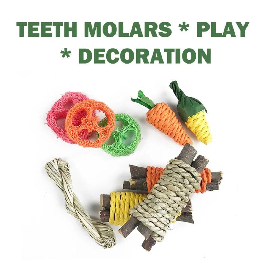 Pet Tooth Grinding Toy Set for Small Animals - MR. GIFT