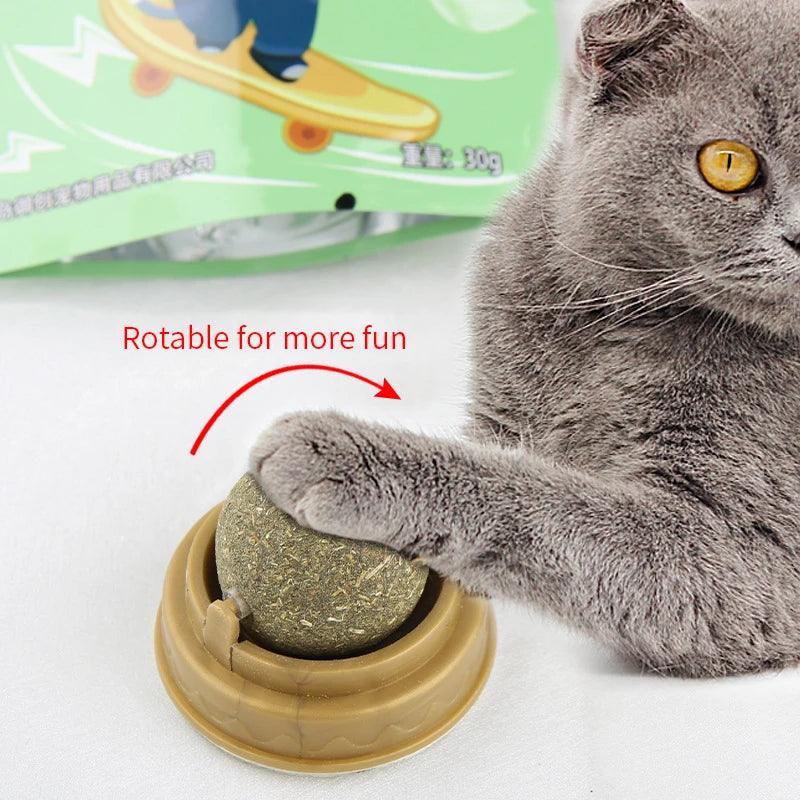 Catnip Wall Ball Toy | Healthy Digestive Cat Treat - MR. GIFT