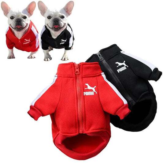 Baseball Jacket for Dogs | Winter Pet Vest & Bulldog Sweatshirt - MR. GIFT