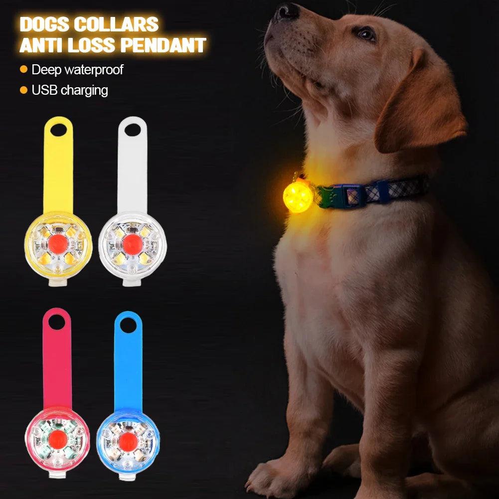 USB Rechargeable LED Safety Pendant for Pets - MR. GIFT