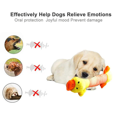Squeak Plush Dog Toy for Chew and Molar Health - MR. GIFT
