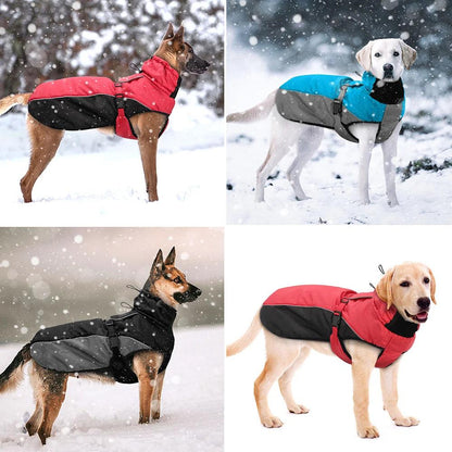 Waterproof Winter Jacket for Large Dogs - MR. GIFT