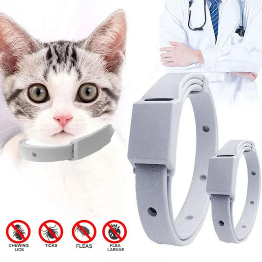 No More Itchy Pets: Try Our Antiparasitic Flea Tick Collar - MR. GIFT