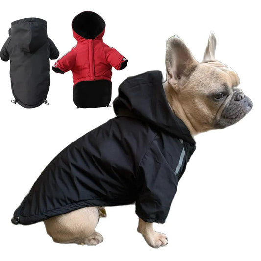 Autumnal Adventures: Keep Your Dog Comfy and Dry - MR. GIFT