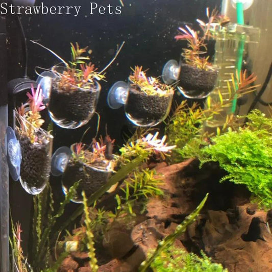 Mini Crystal Acrylic Aquarium Planting Hanging Cup - MR. GIFT