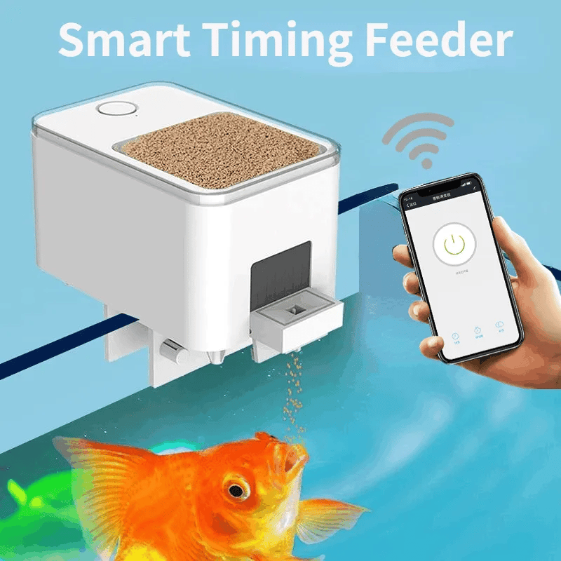 Wifi-Enabled Fish Feeding: Convenience at your Fingertips - MR. GIFT