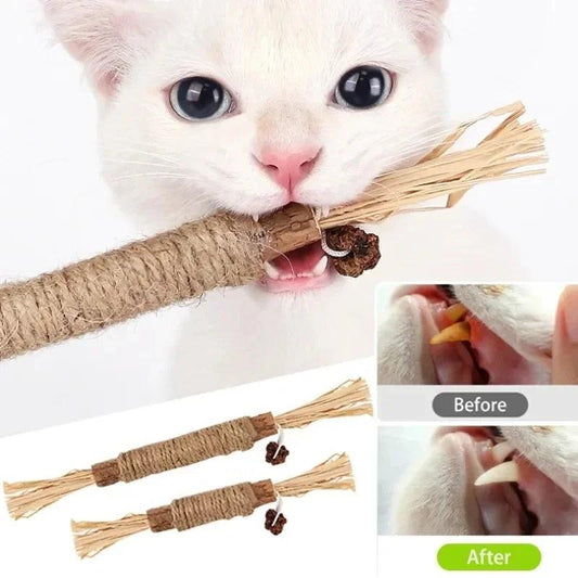 Natural Cat Teeth-Cleaning Toy - MR. GIFT