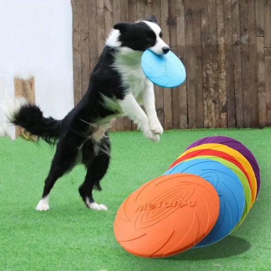 Silicone Dog Flying Disk Toy for Interactive Training - MR. GIFT